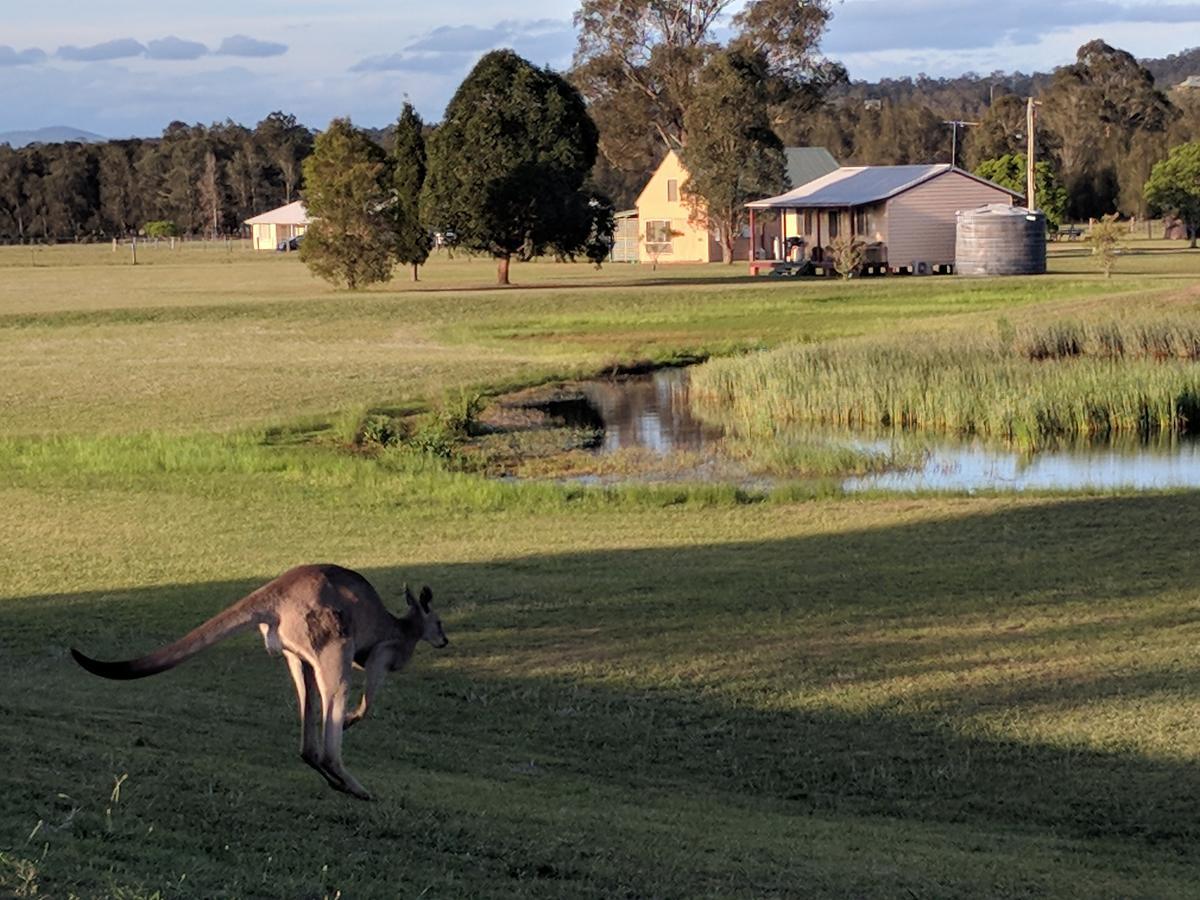 Madigan Wine Country Cottages Lovedale Eksteriør billede